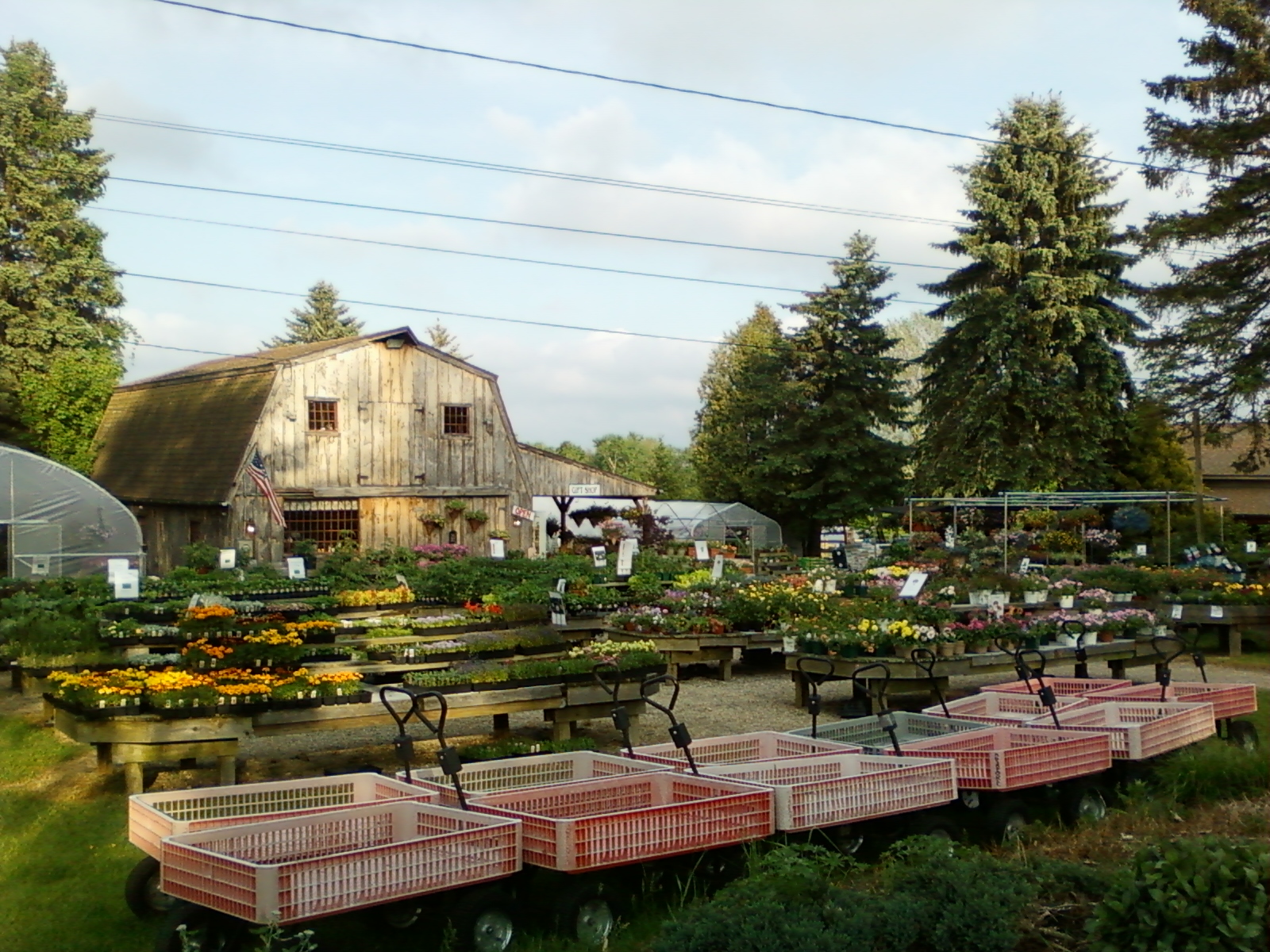 Springtime at Edmondson's Farm